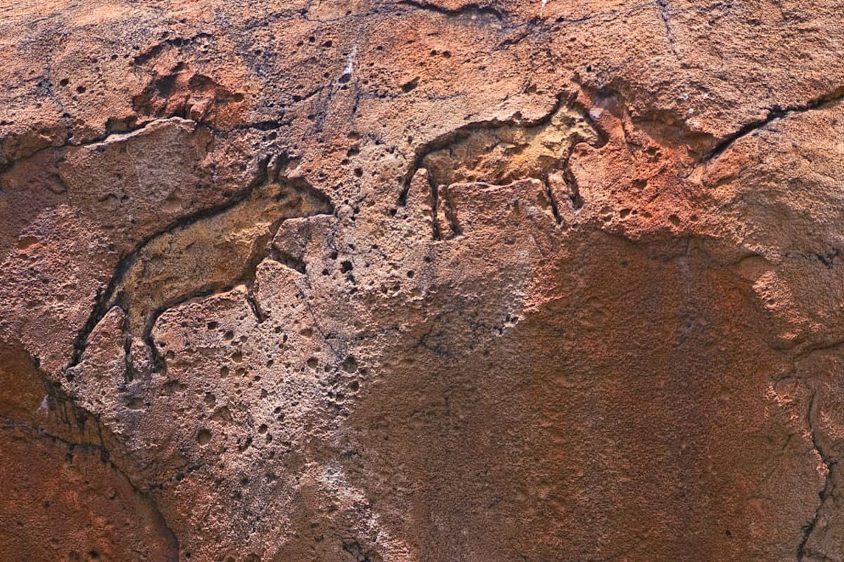 Día Mundial de la Antropología