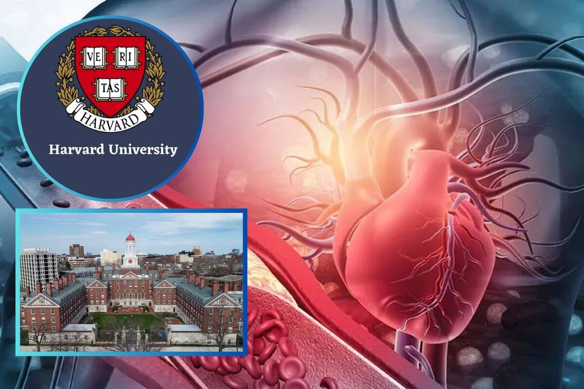 5 consejos para prevenir enfermedades cardiovasculares según Harvard