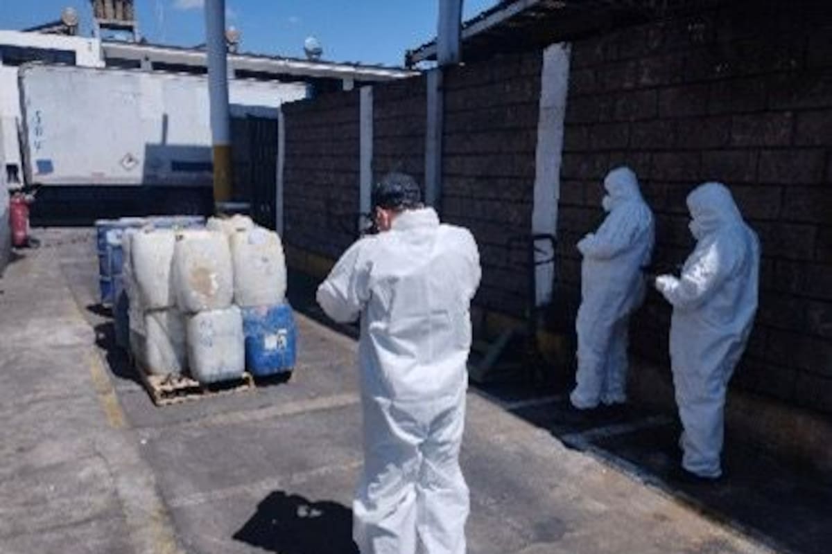 Destruye FGR diversos precursores químicos