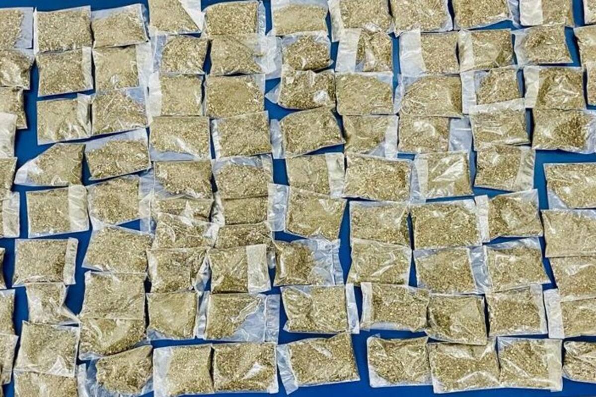 Localizan 120 paquetes con hierba verde en Esperanza