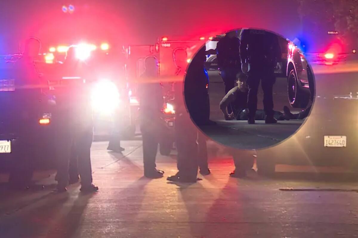 Mujer y su perro son apuñalados con espada samurái mientras paseaban en Los Ángeles