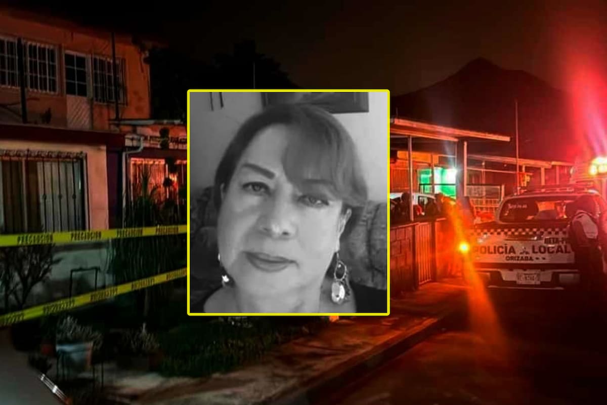 Hallan a maestra asesinada y descuartizada con una motosierra en el baño de su casa en Veracruz: ¿Qué pasó?