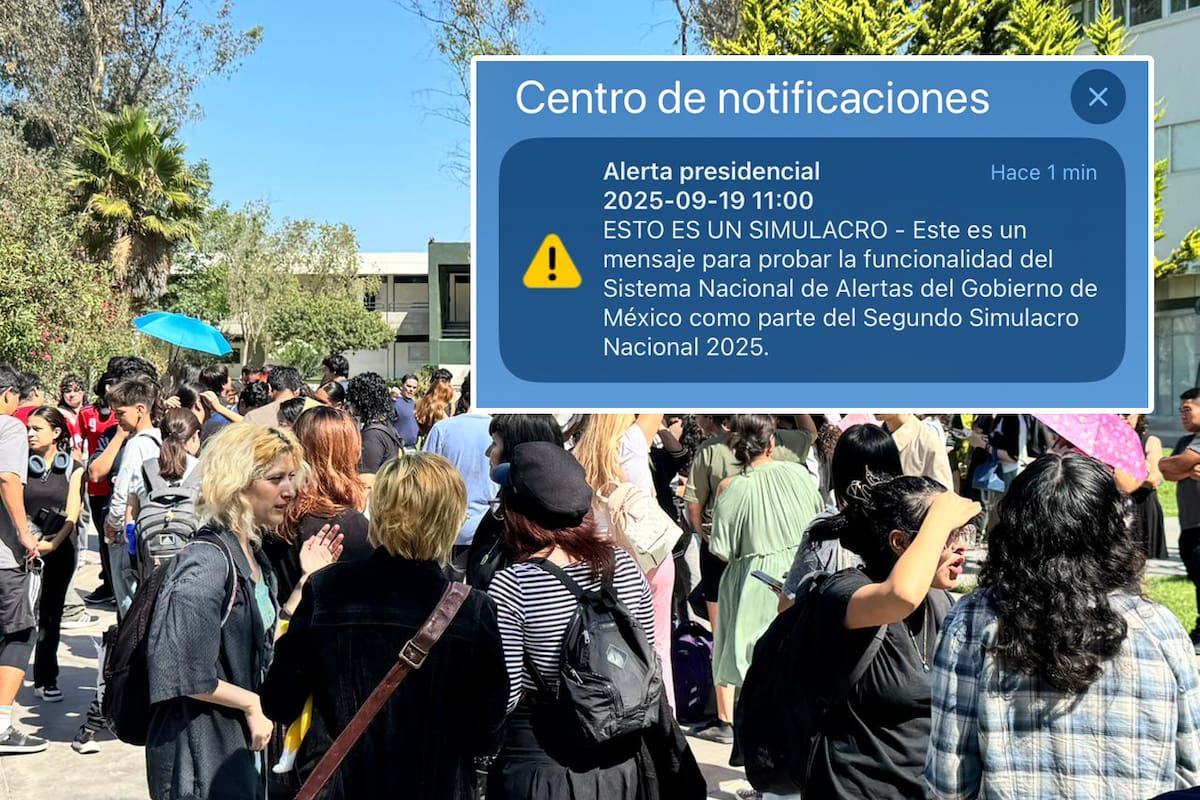 Alertan a 80 millones de usuarios con notificación sobre simulacro
