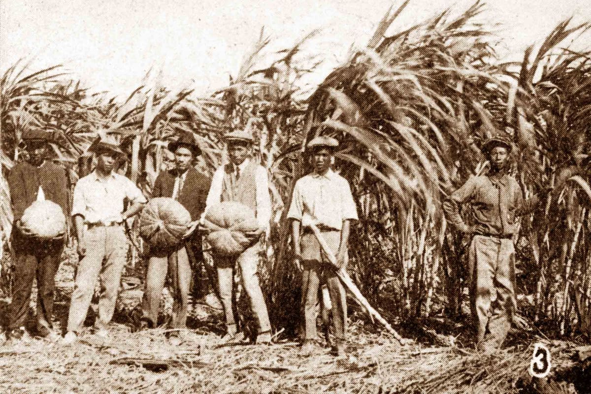 A 123 años de Mexicali: la historia que llegó desde China y echó raíces en La Chinesca