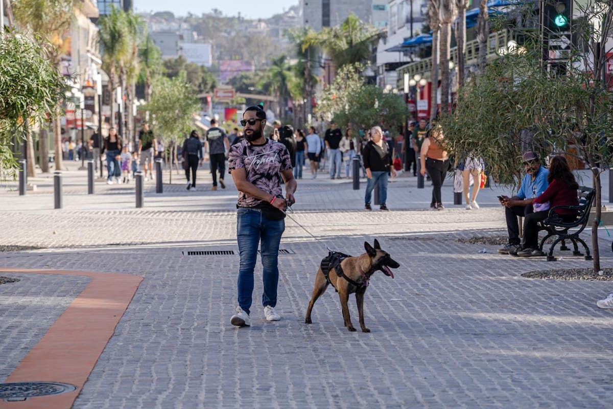 La rehabilitación de la avenida Revolución y obras en la zona Este continúan, indica IMPLAN