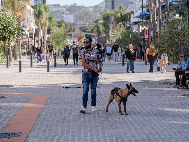 La rehabilitación de la avenida Revolución y obras en la zona Este continúan, indica IMPLAN