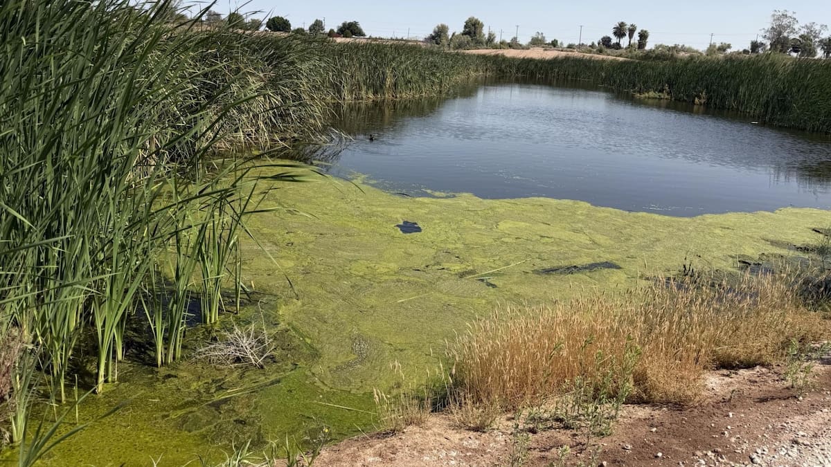 IID destina 4.3 millones de dólares a 13 proyectos de agua e infraestructura en el Valle Imperial