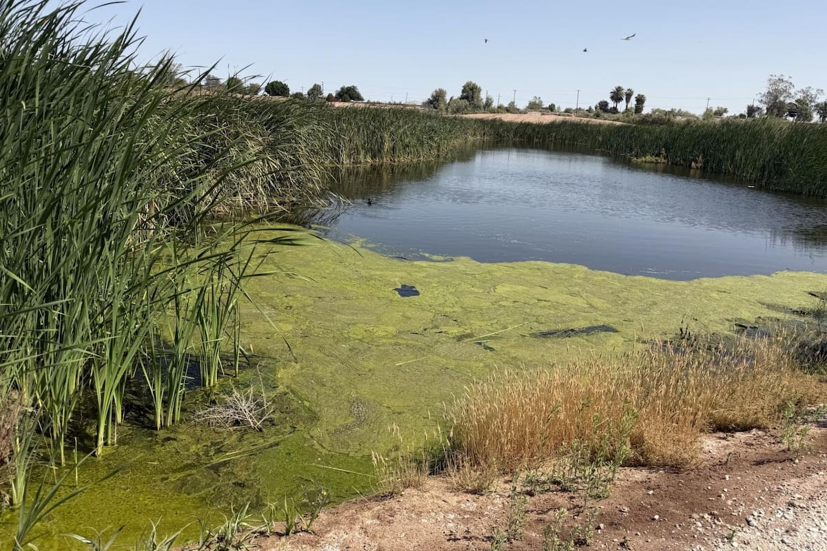 IID destina 4.3 millones de dólares a 13 proyectos de agua e infraestructura en el Valle Imperial