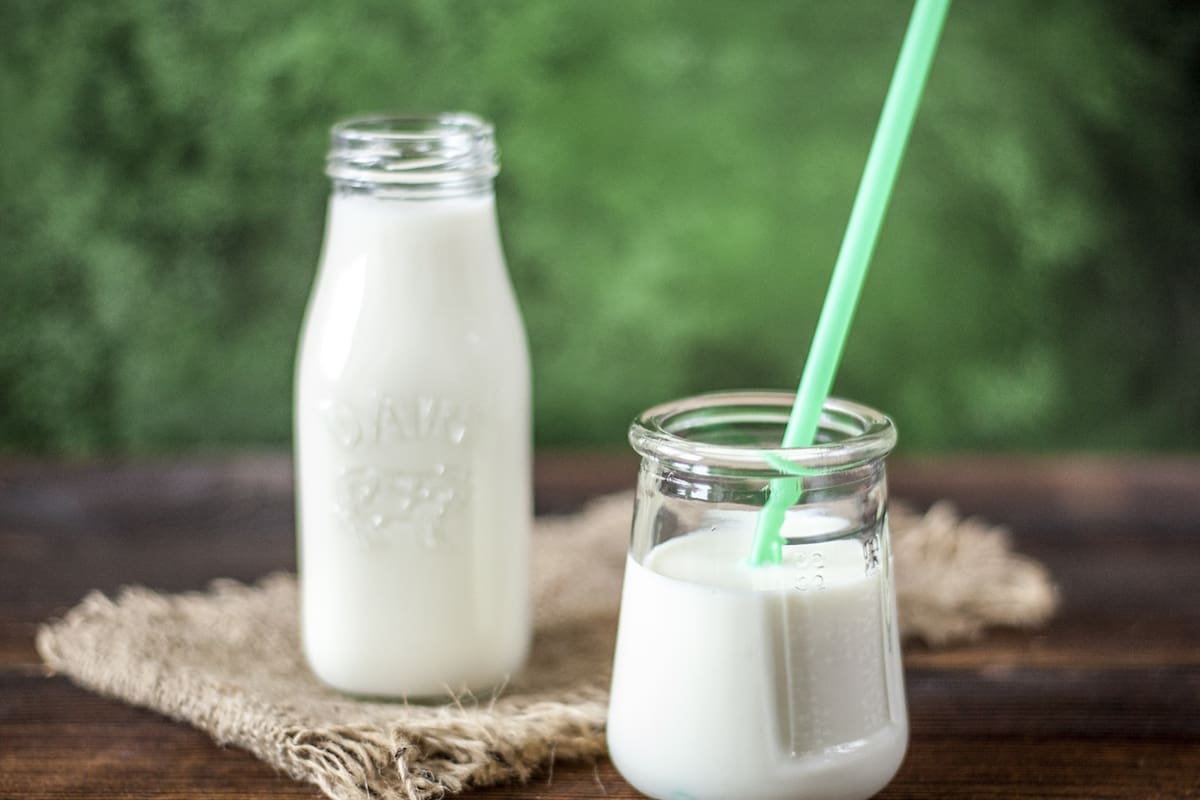 La leche, un alimento completo en todas las etapas de la vida