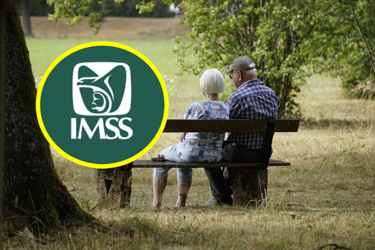 Si necesitas comprar semanas en el IMSS bajo la Modalidad 40, el precio varía según tu salario base.