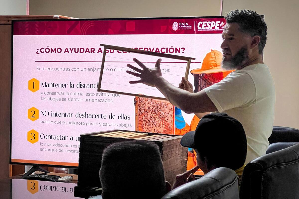Cespe se une al rescate de abejas en registros de agua
