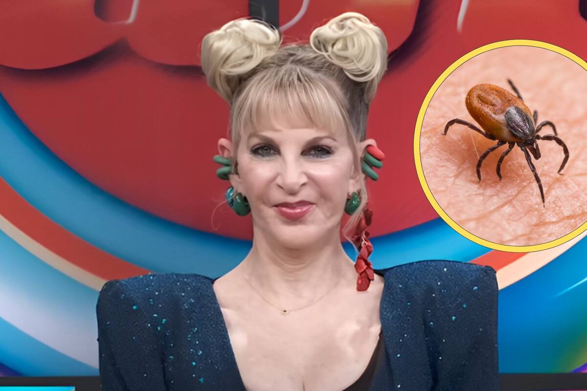 ¿Qué es la enfermedad de Lyme? Padecimiento que afecta a Shanik Berman