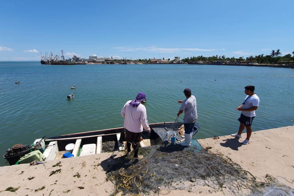 Sonora: Aseguran hay poco para celebrar en Día del Pescador
