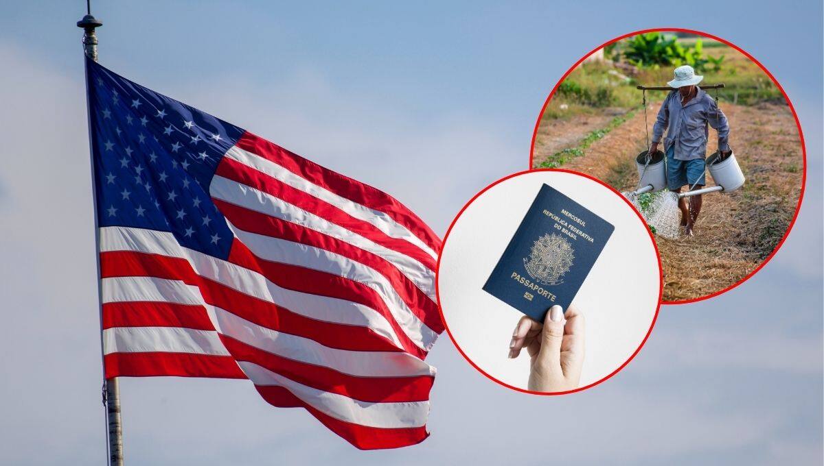 Legisladores en Estados Unidos exigen reformas al programa de visas H-2A, señalando que su lentitud y complejidad afectan a miles de trabajadores agrícolas migrantes.