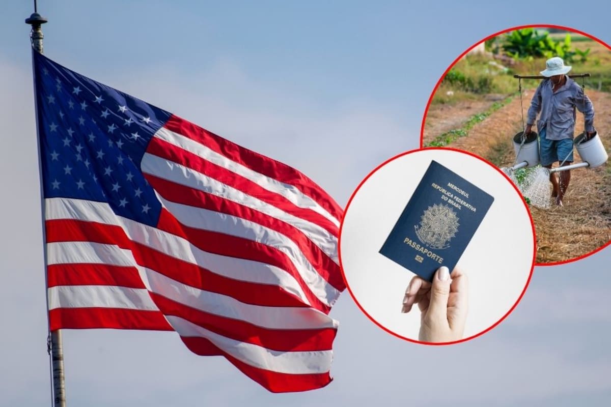 El Congreso de EEUU busca agilizar visas y frenar deportaciones ante la falta de jornaleros agrícolas; alertan que el campo estadounidense depende de su mano de obra