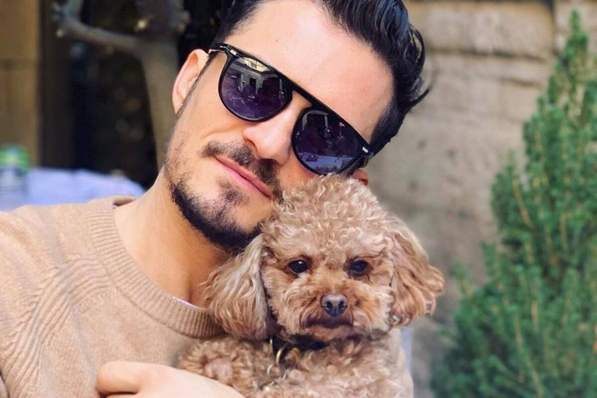 A Orlando Bloom se le pierde su perrito; ofrece recompensa