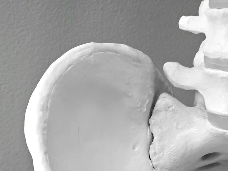 Estos alimentos son buenos para prevenir la osteoporosis
