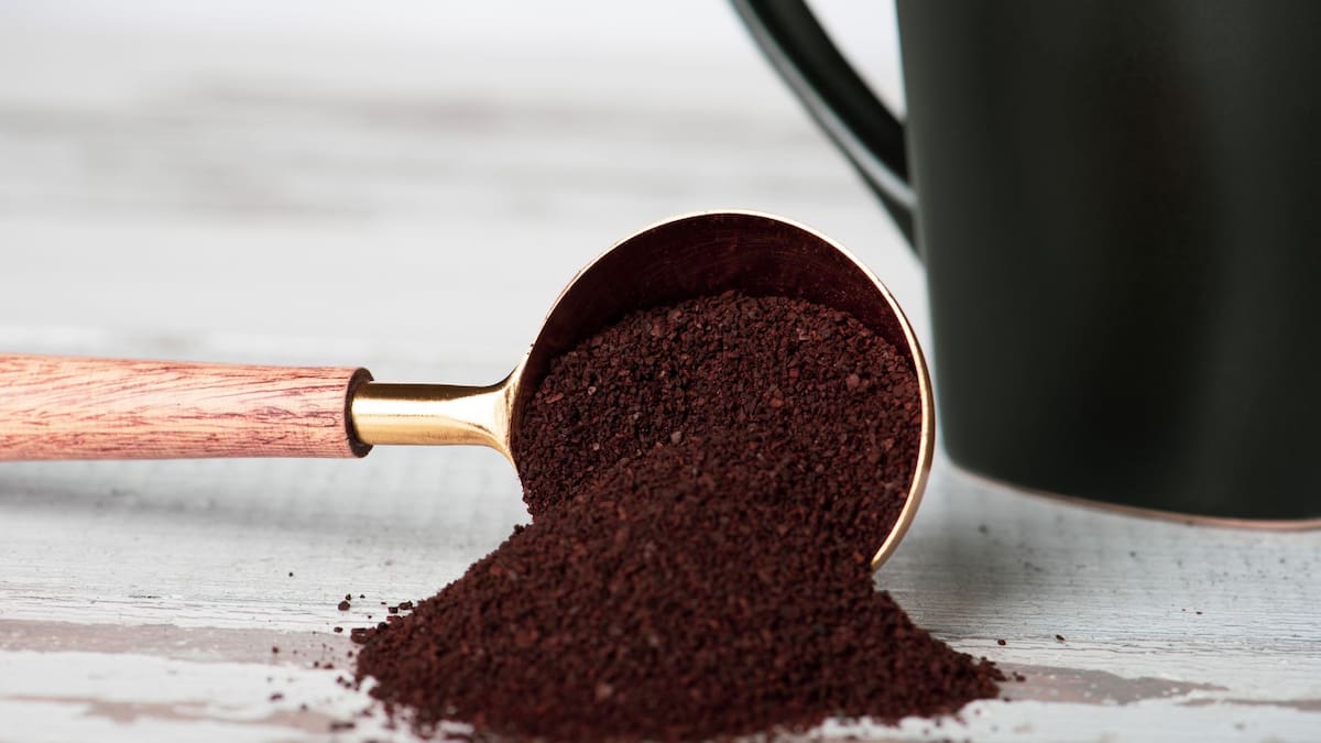 Este es el mejor lugar para guardar el café molido y preservar su sabor | Foto: Especial