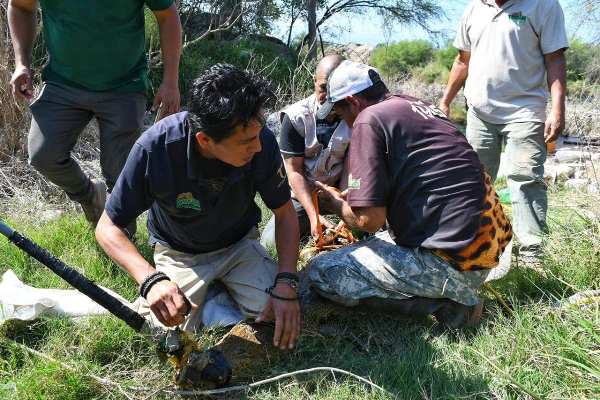 Gobierno de Tamaulipas.