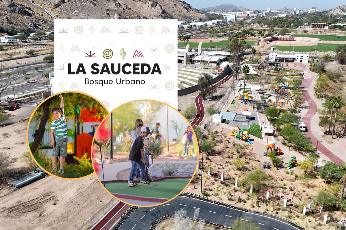 Vacaciones de verano en La Sauceda: habrá actividades gratuitas del 24 al 26 de julio con talleres, recorridos, naturaleza y eventos culturales para toda la familia