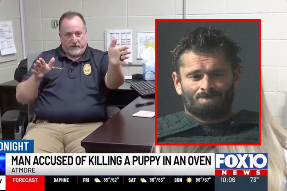 Hombre calcinó vivo a su perro chihuahua en el horno de su casa porque no paraba de ladrar