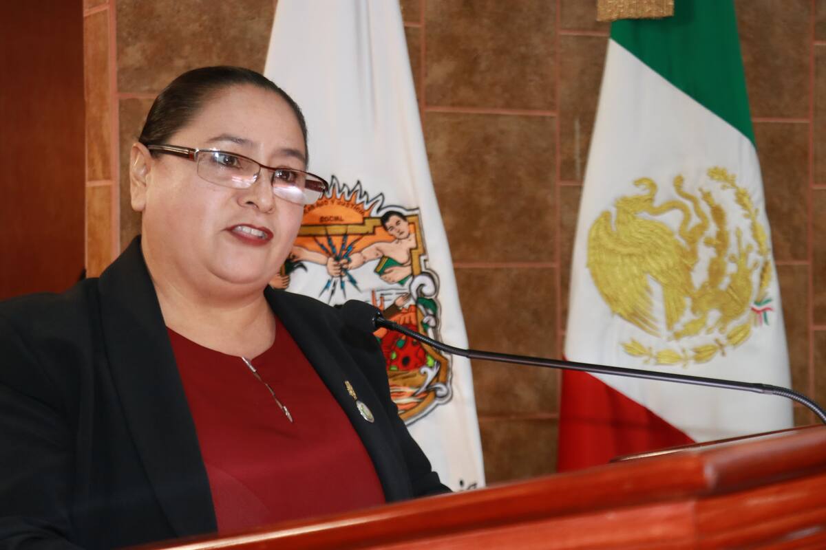 El Comité Ejecutivo de Morena nombra a Rosina Del Villar Coordinadora parlamentaria