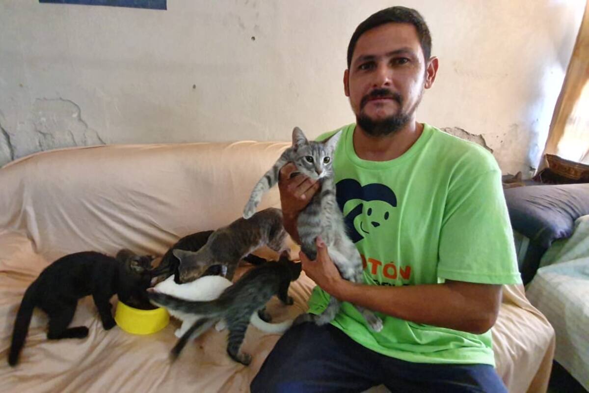 Piden apoyo con alimento para mascotas