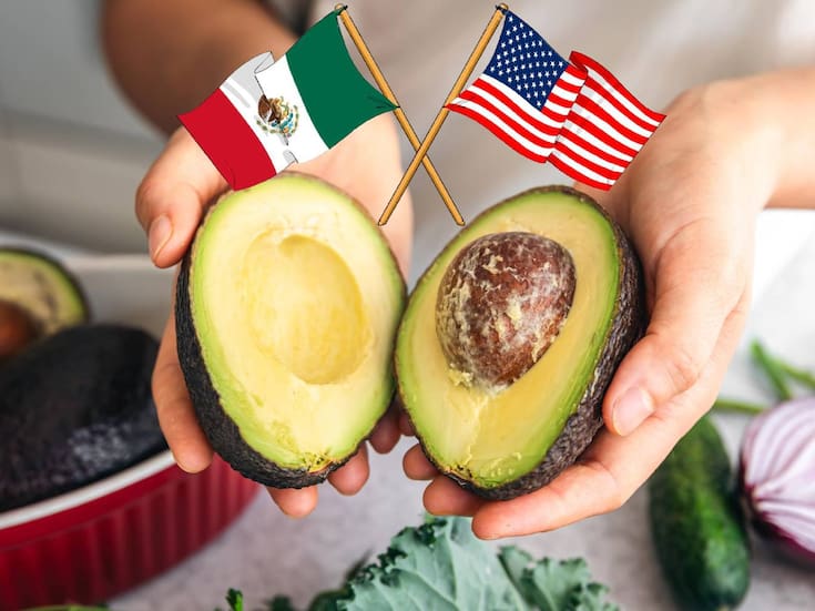 Productores de Estados Unidos buscan frenar la entrada del aguacate mexicano y pidieron incluir en el T-MEC nuevas barreras como aranceles, controles sanitarios más estrictos e incluso el cierre total de la frontera