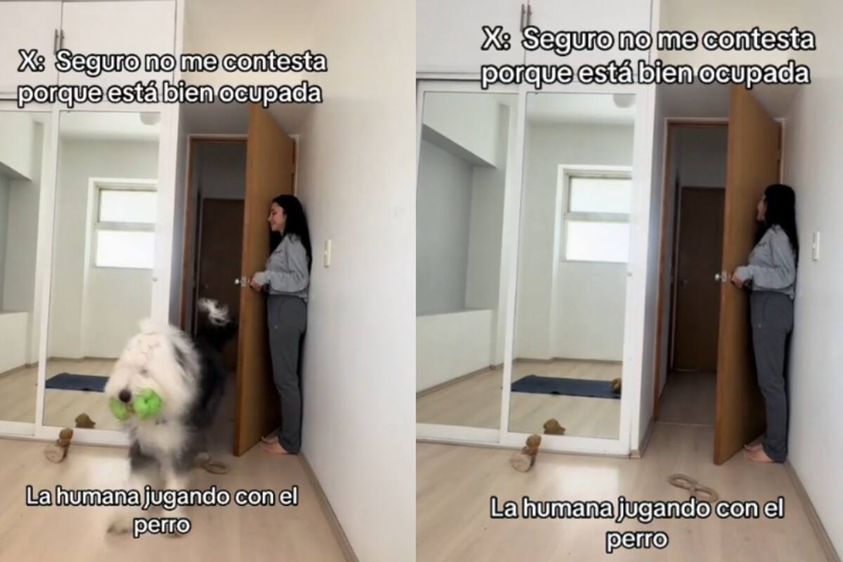 Chica se graba jugando a las escondidas con su perro en TikTok y genera ternura