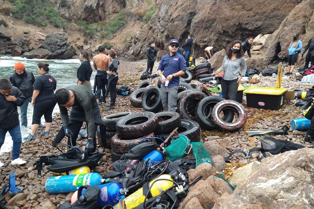 Realizarán limpieza subacuática en Ensenada