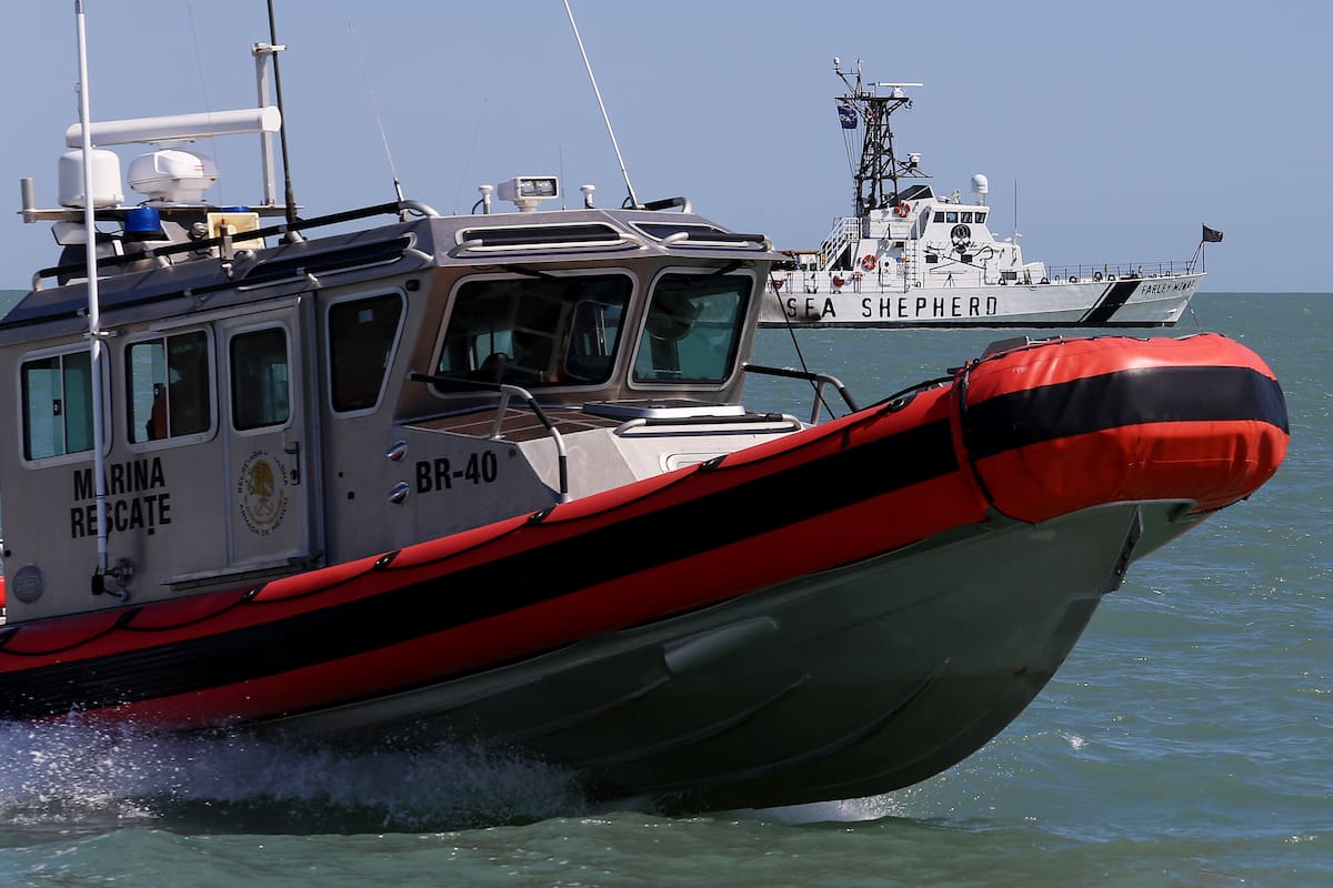 La dependencia informó que personal naval realizó un reconocimiento a bordo de la Patrulla Interceptora ARM "Alnitak" (PI-1411), que navegó desde Bahía de los Ángeles hasta Isla San Luis.│Foto: Cortesía