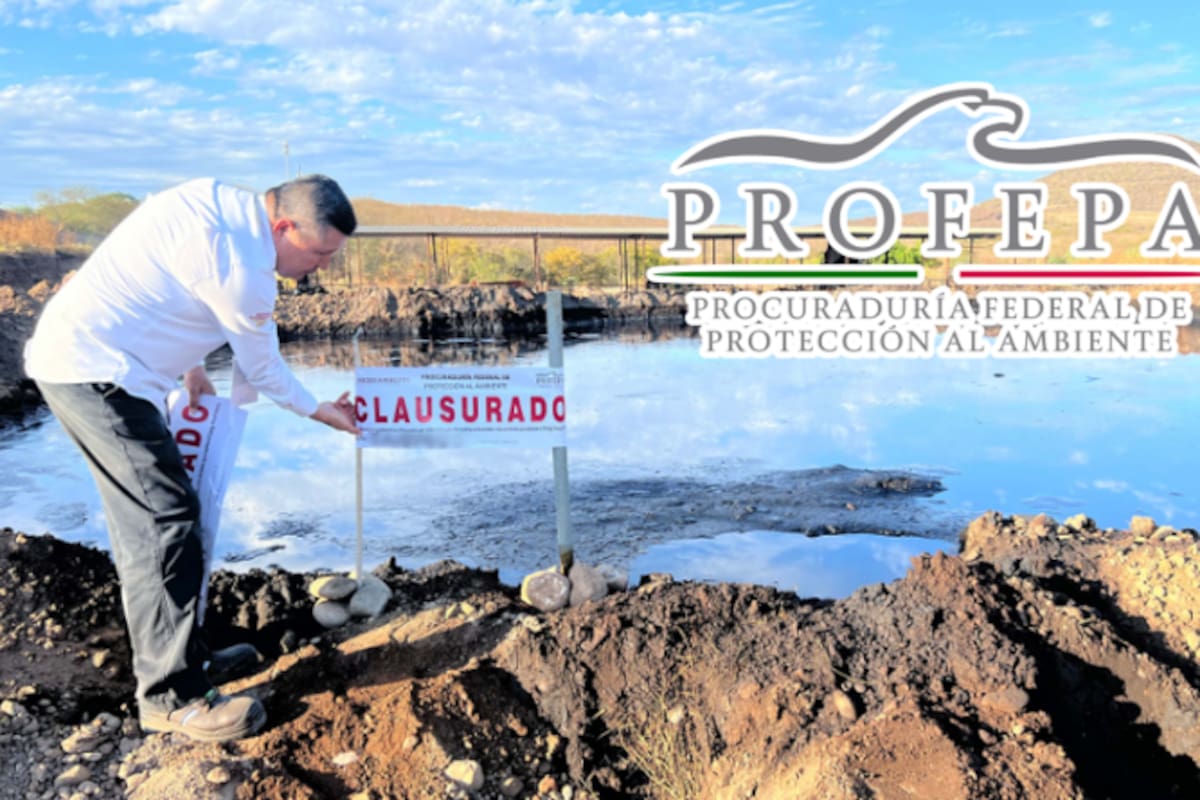 Clausuran en Culiacán empresa que almacenaba 90 mil litros de aceite usado sin permisos ambientales