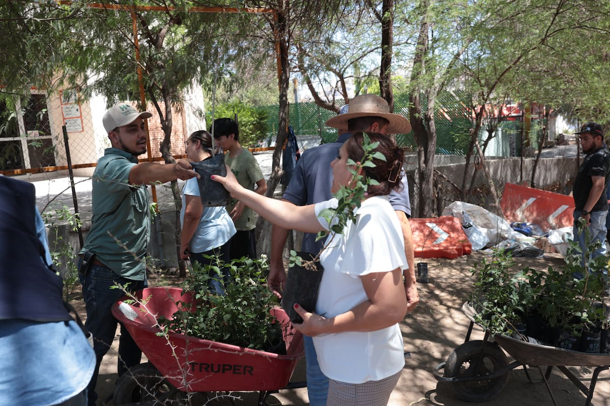 El Gobierno de Hermosillo donará 500 árboles nativos este sábado en el Vivero Municipal. FOTO: BANCO DIGITAL