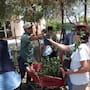 Regalarán árboles nativos en Hermosillo este sábado 4 de julio: habrá diez especies disponibles