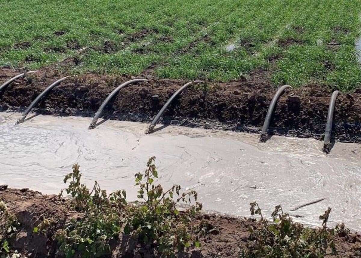 El Distrito de Riego del Valle del Yaqui exhortó a los productores a cuidar el agua.