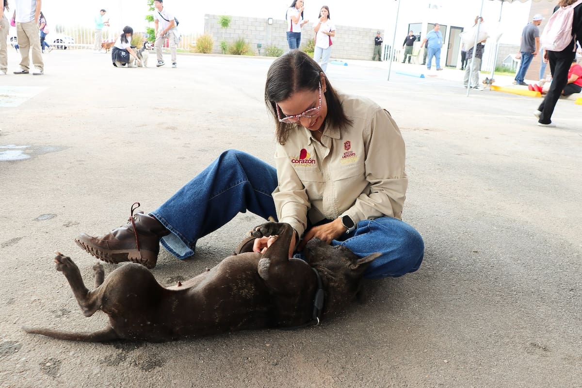 Jóvenes se suman al voluntariado en el Santuario Animal Mily