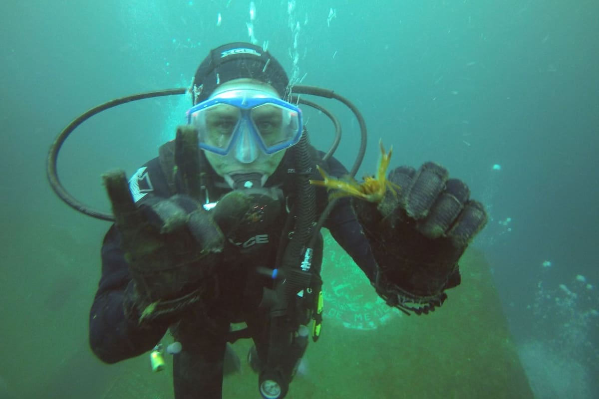 A diez años del Parque Submarino, un proyecto que navega a la deriva