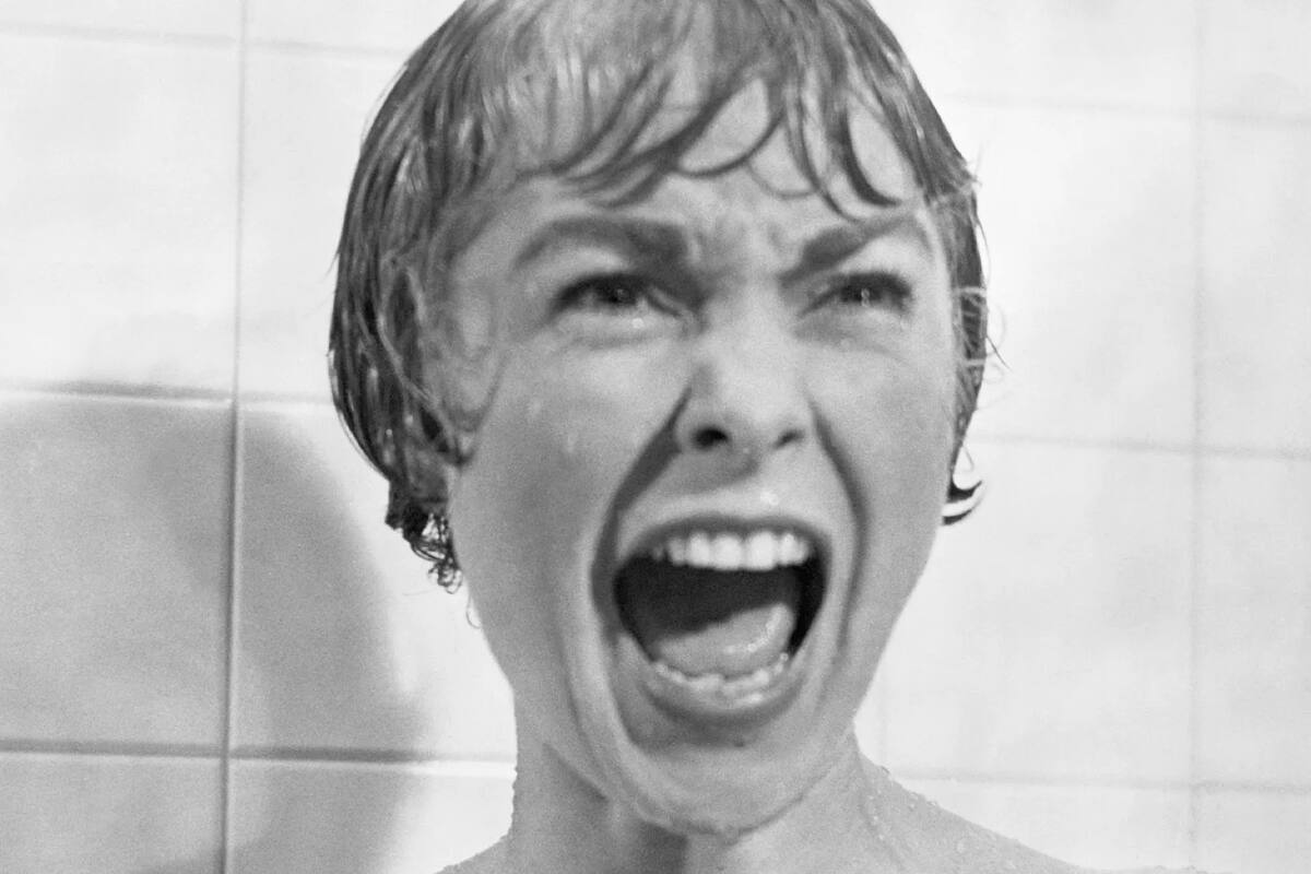 ¿Qué es el cine de culto?