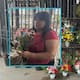 Día de las madres beneficiará a floristas
