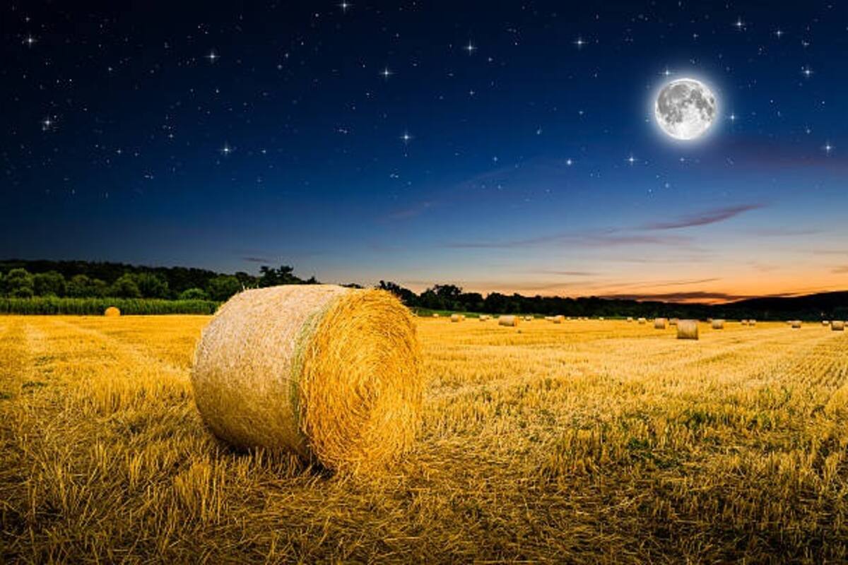 La Luna de Cosecha: Un Espectáculo Celestial con Historia y Significado