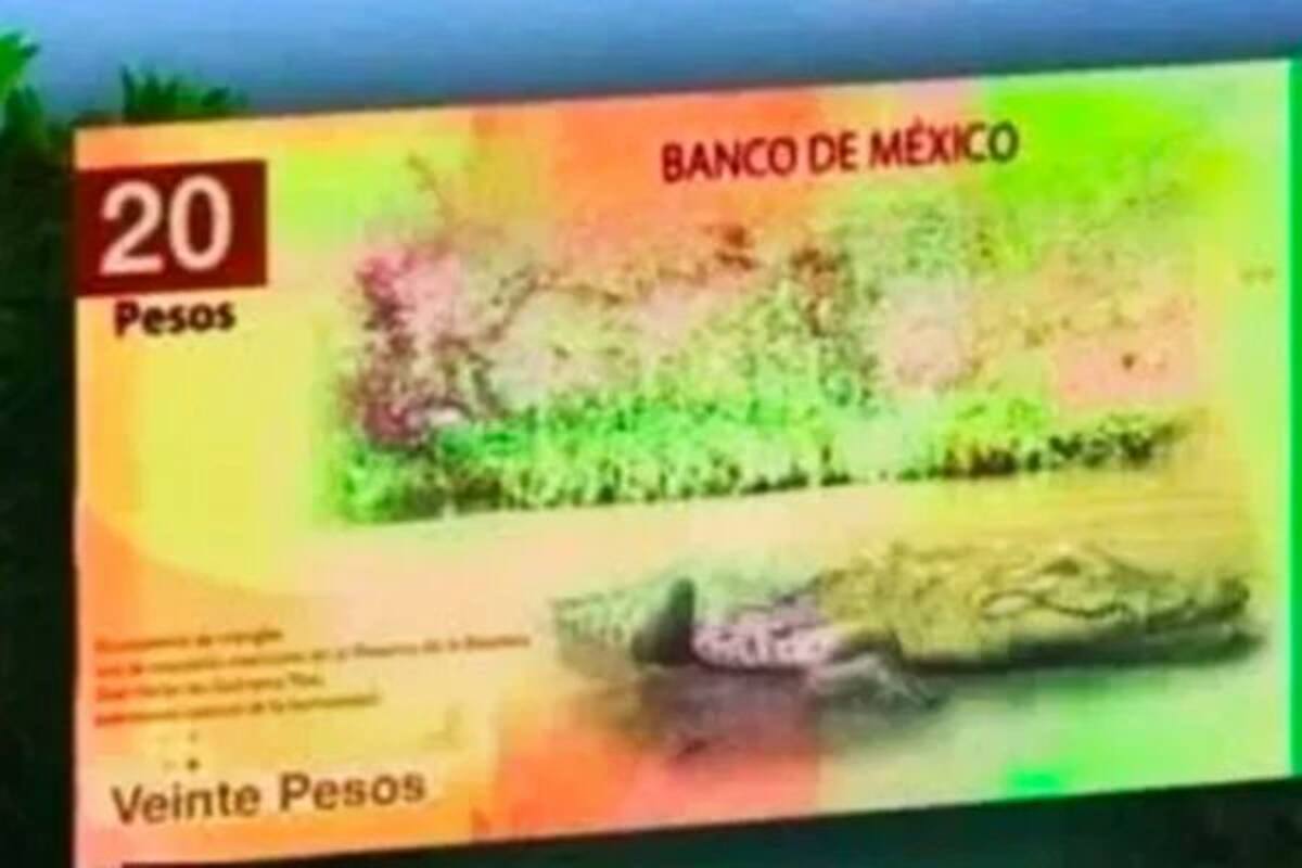 Nuevos billetes: Afirman que Banxico prepara rediseño para los de 20 y 50 pesos