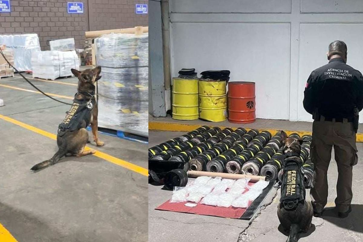 Aseguran 138 kilos de metanfetamina en una empresa de paquetería en Hermosillo
