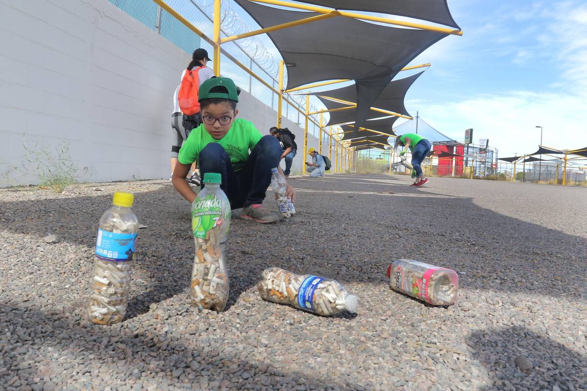 Recolectan más de 470 mil colillas de cigarro en los parques y calles