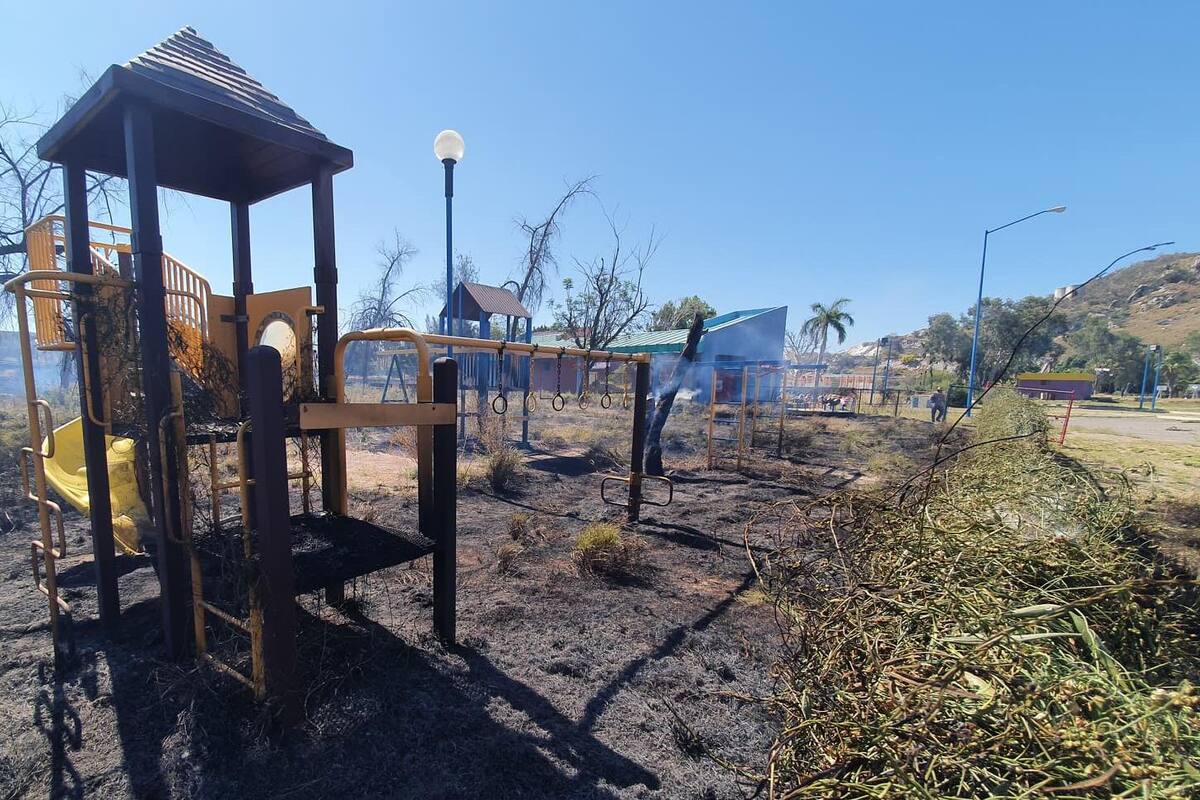 Se incendia maleza en La Sauceda