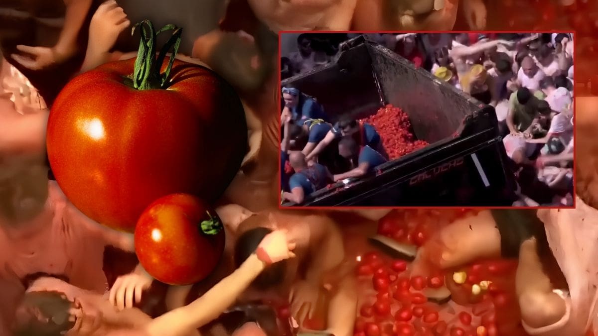 Al menos 150 mil kilos de tomates y una hora de batalla: así se vive La Tomatina, la fiesta que cada año convierte las calles de Buñol, España, en un escenario cubierto de pulpa