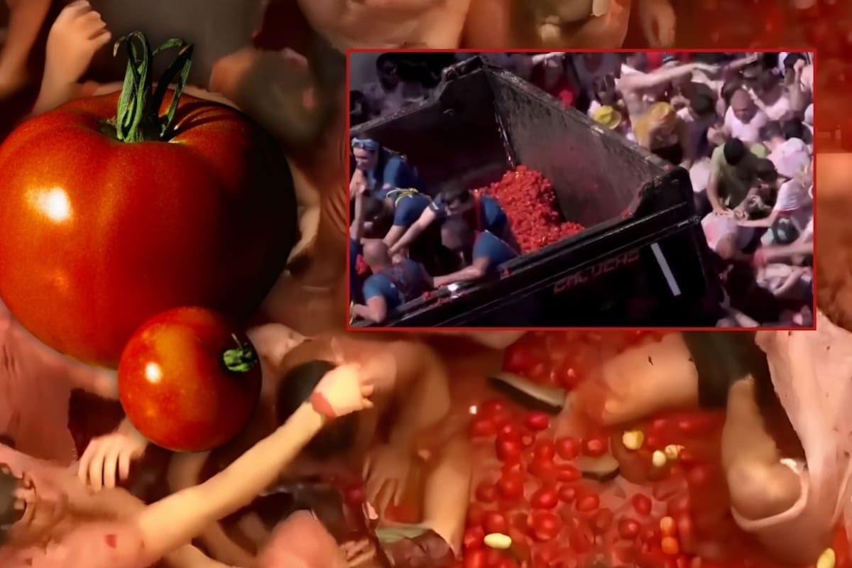 Al menos 150 mil kilos de tomates y una hora de batalla: así se vive La Tomatina, la fiesta que cada año convierte las calles de Buñol, España, en un escenario cubierto de pulpa