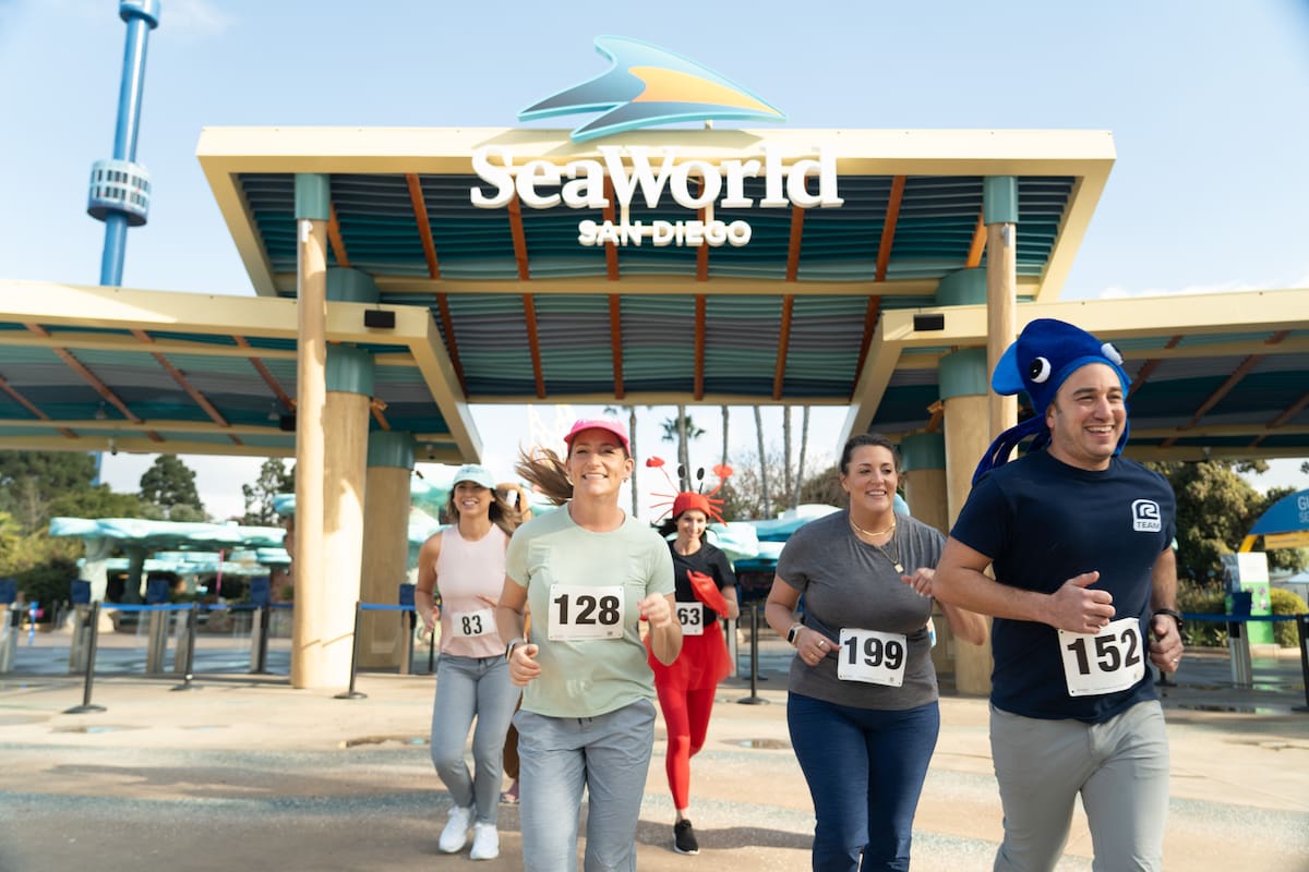 SeaWorld San Diego anuncia la carrera Fins & Flippers 5K