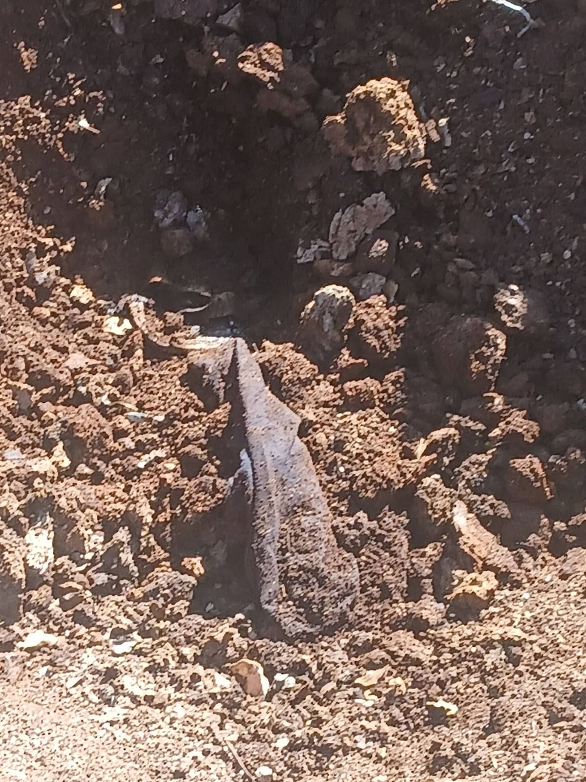 El colectivo Buscadoras de la Frontera informó el hallazgo de una fosa clandestina en un predio despoblado al poniente de Nogales