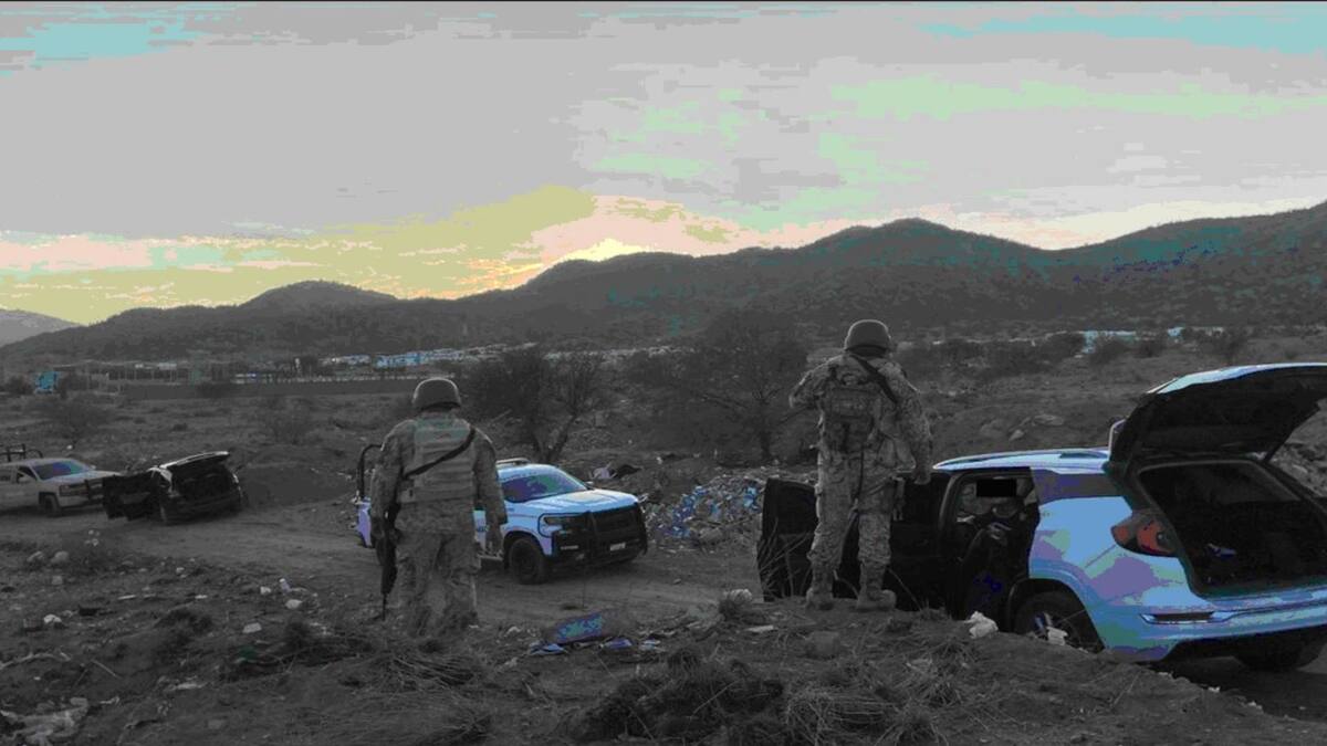 El detenido tenía antecedentes penales / Foto: Sedena