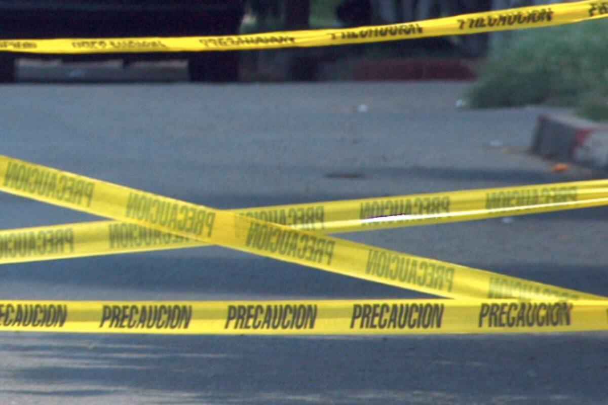 Asesinan a 3 hermanos en siembra sinaloense